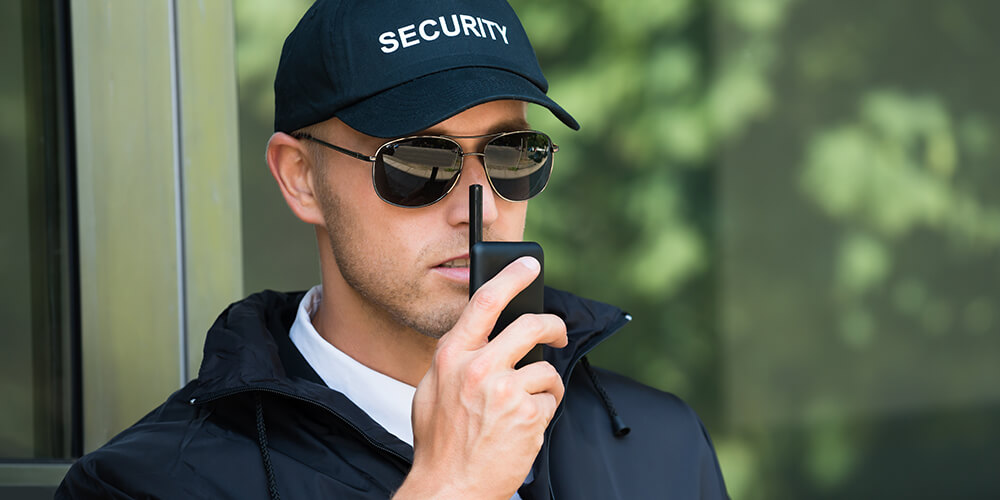 agent de paza